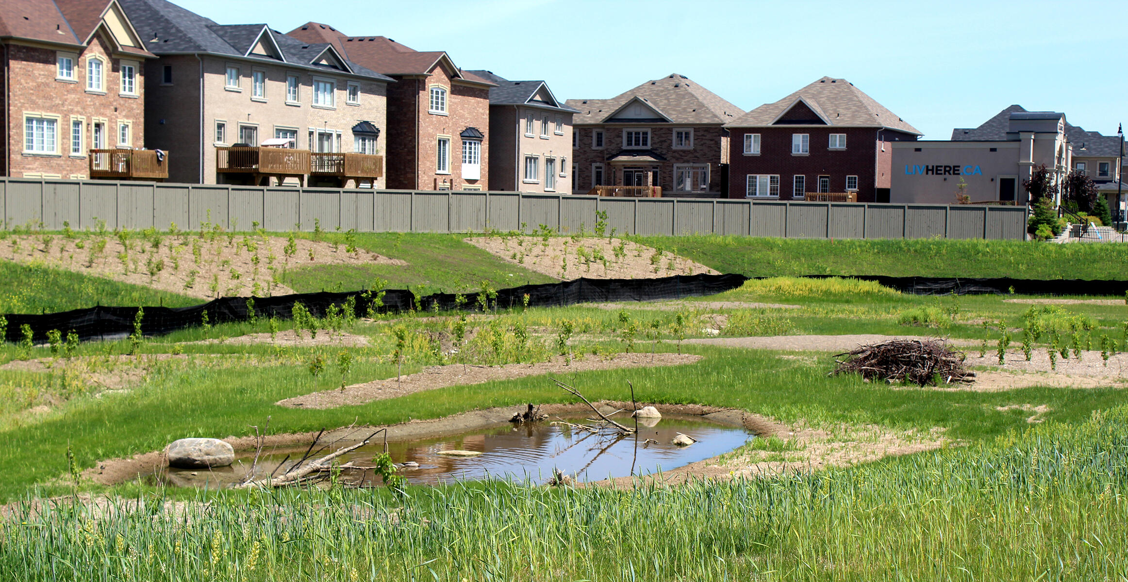 Ecoland Inc. create natural landscapes in Ontario’s sprawling neighborhoods