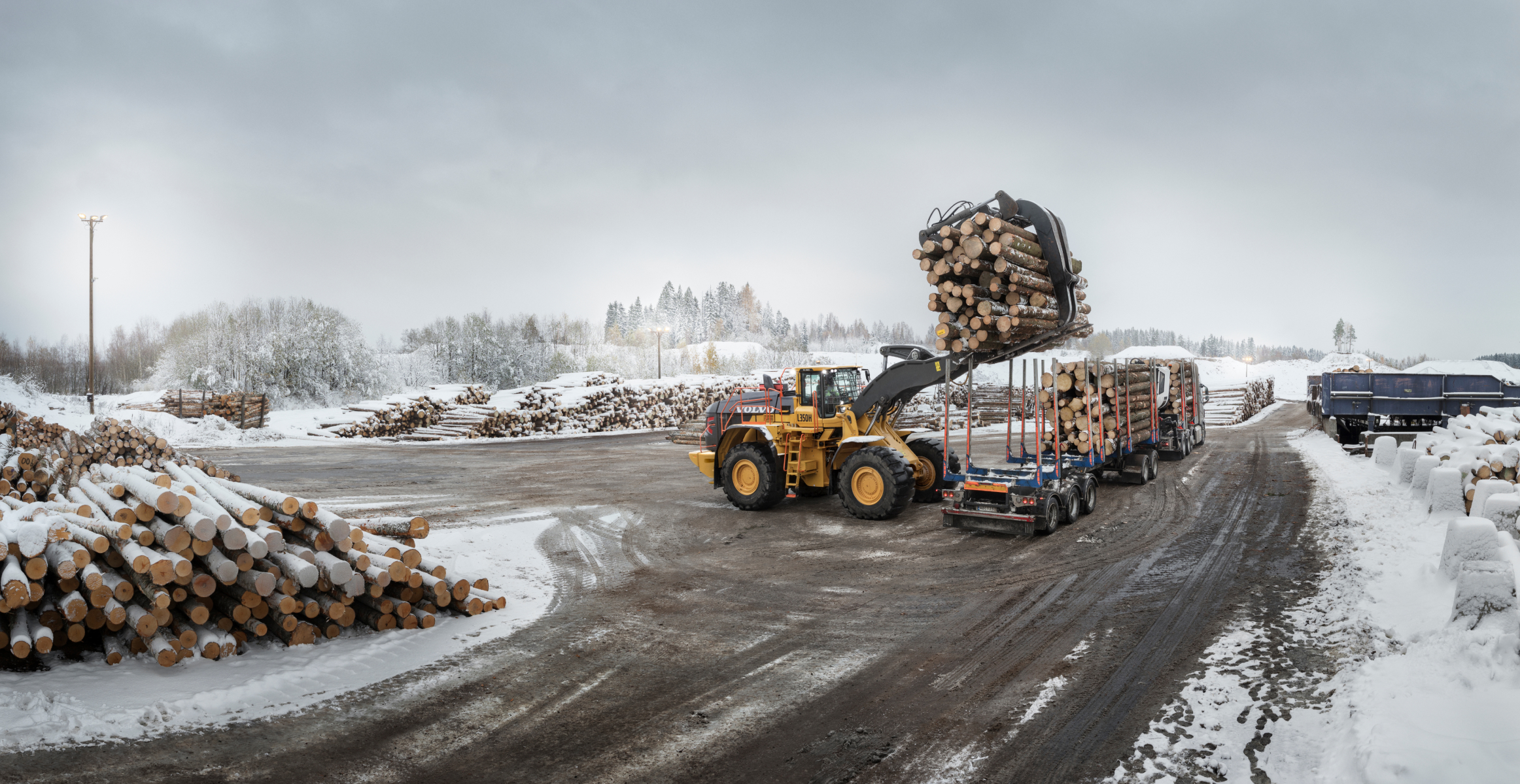Wheel loader loading logs on a truck