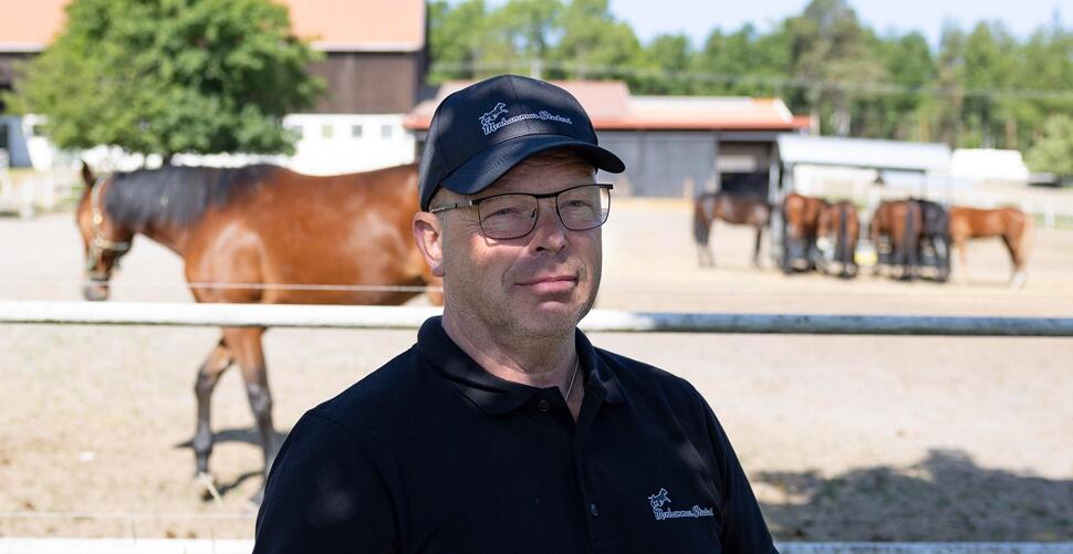 Menhammar Stuteri