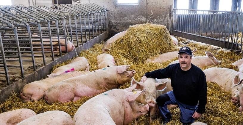 Cost savings on a pig farm with electric construction equipment