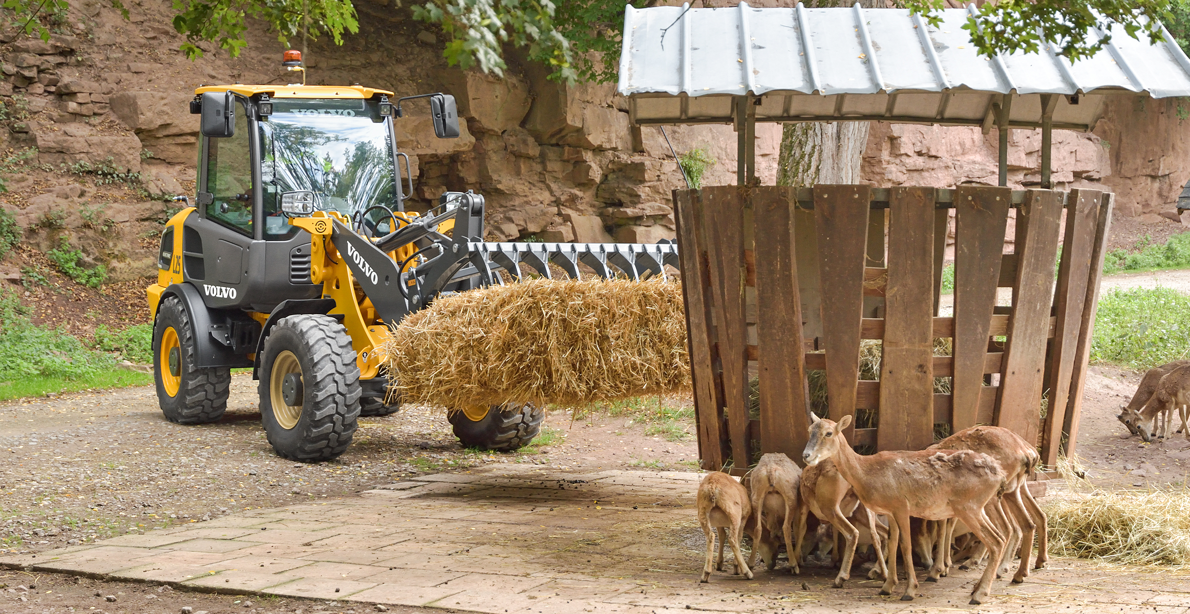 Electric wheel loader working at Riga city zoo
