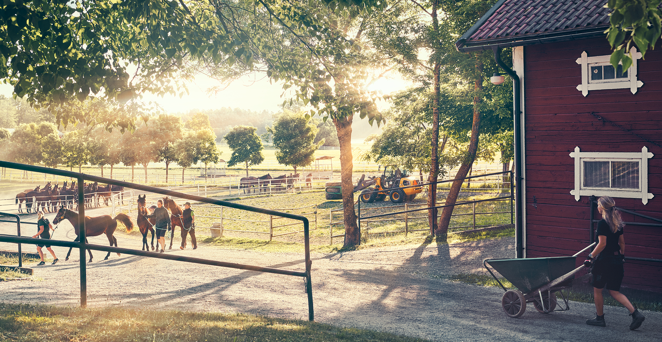 Electric compact wheel loader at Menhammar stud farm