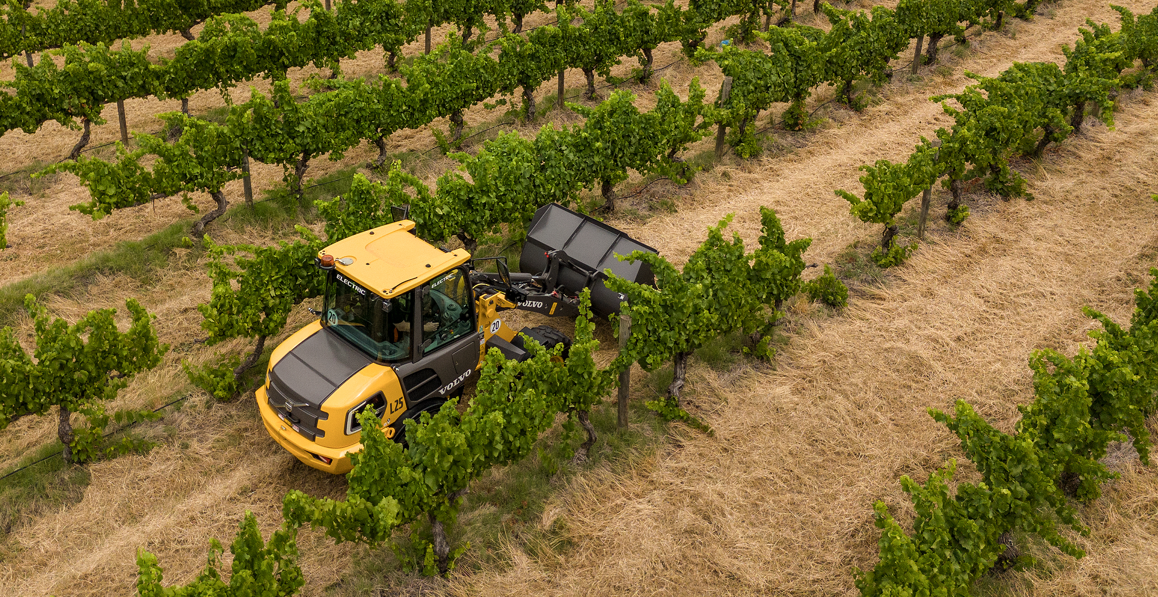 Electric wheel loader working at a wineyard