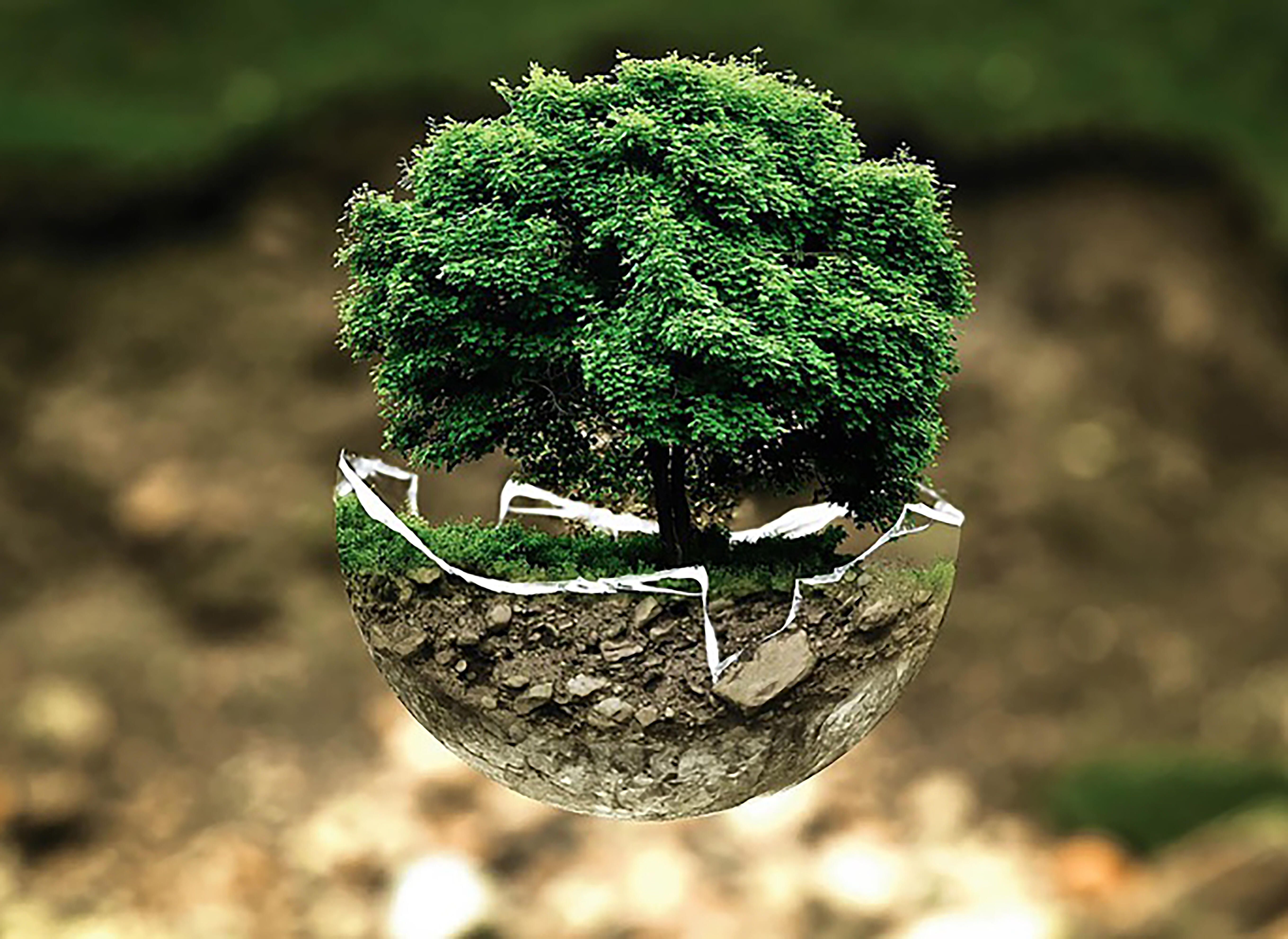 How is nature influencing the way we design_06