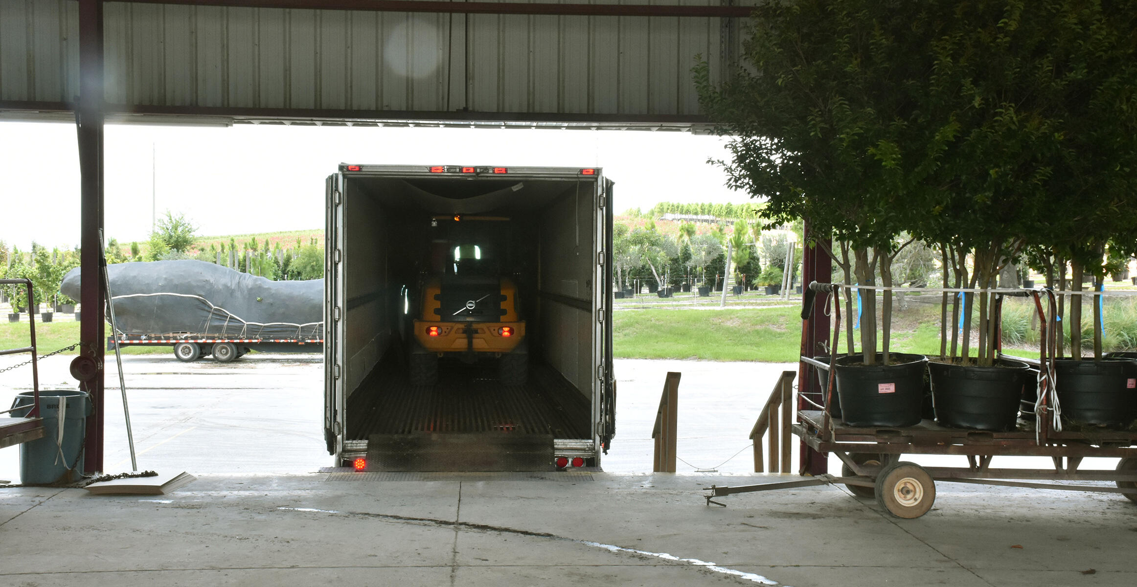 Loading trees with a Volvo compact wheel loader at Cherrylake, Fla.