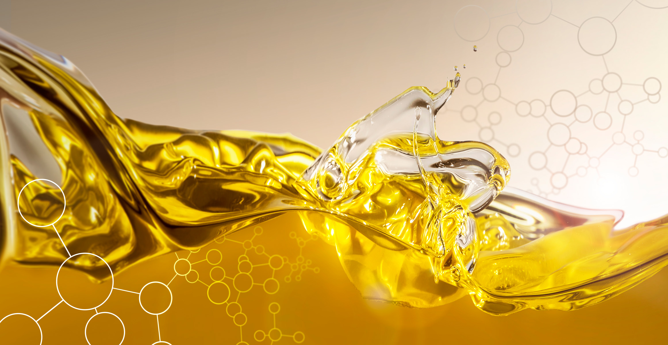 Fuel Efficiency Guarantee