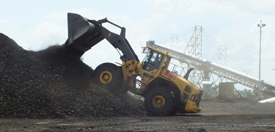 Volvo is king of the jungle in Borneo