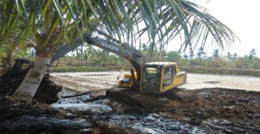 Stability is key in Indonesia’s paddy fields