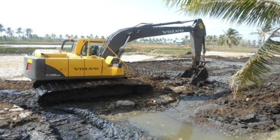 Stability is key in Indonesia’s paddy fields