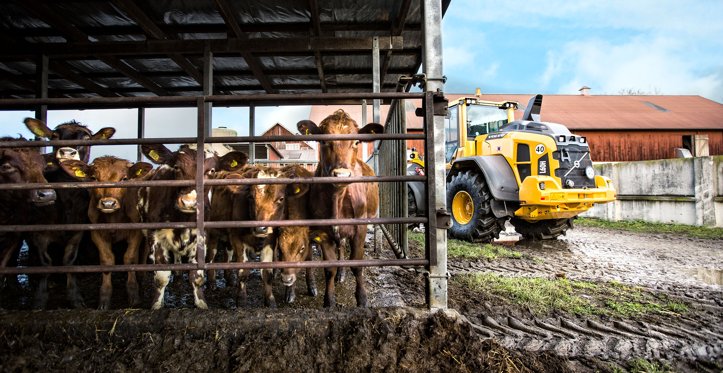 Agritechnika - Swecon - L60