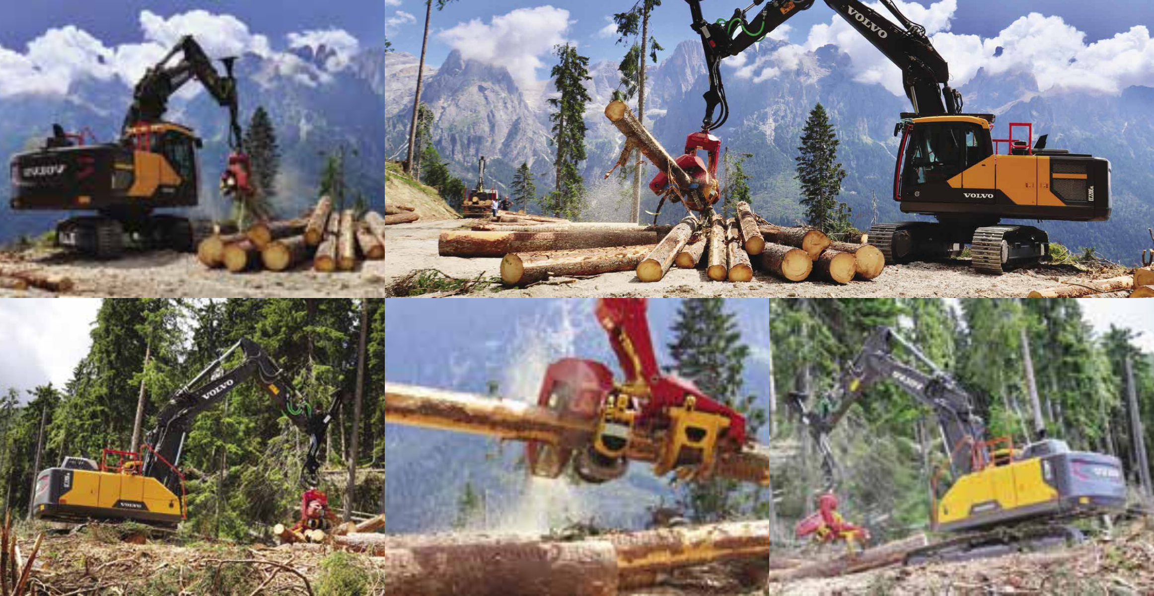 Escavatore nel settore del legno