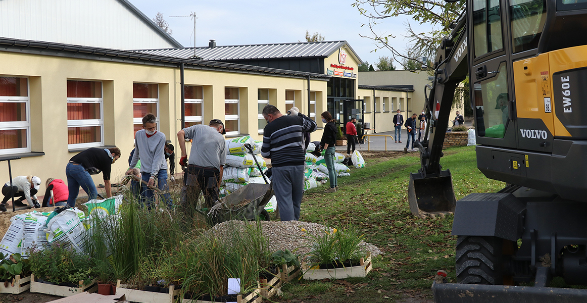 Pomagamy budować ogrody deszczowe